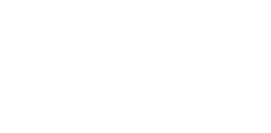Smart Watcher Logo